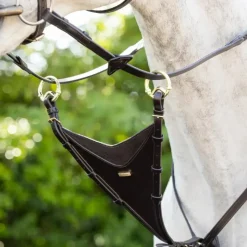 Best - Martingale Bib Kudos laiton/ Martingales