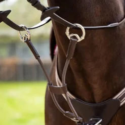 Enrênements Poneys|Martingales*LeMieux - Martingale élastique / argent Marron