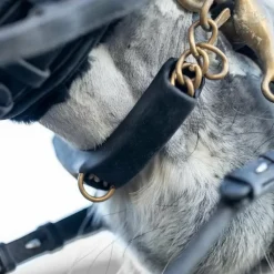 New - Protège gourmette Curb Chain Accessoires De Bridon