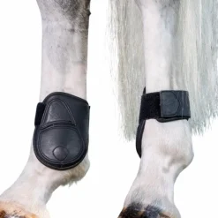 Protège-Boulets*LeMieux - Protège-boulets Capella Noir