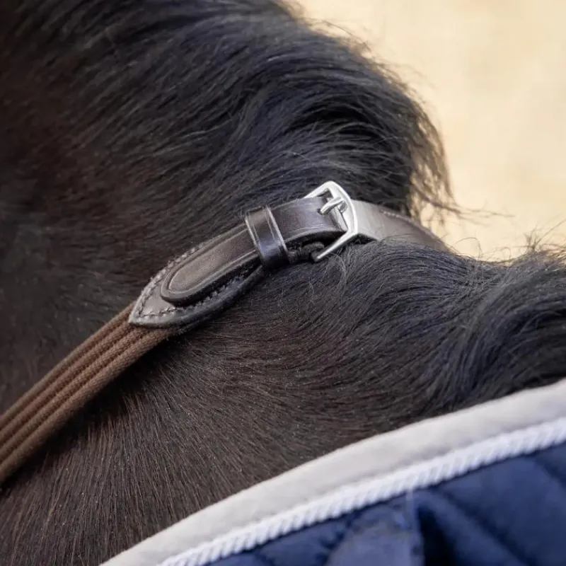 Clearance - Rênes Webbed Continental / argent Rênes Et Arrêtoirs De Rênes Poneys|Rênes Et Arrêtoirs De Rênes
