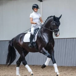 Clearance - Tapis de dressage Square Coton Dressage|Tapis De Dressage