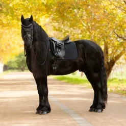 Sale - Tapis de dressage Square Essence Dressage|Tapis De Dressage