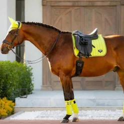 Outlet - Tapis de dressage Loire Classic Square kiwi Dressage|Tapis De Selle