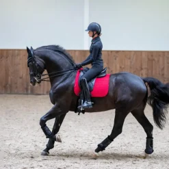 - Tapis de dressage Square suédine chili Tapis De Dressage|Dressage