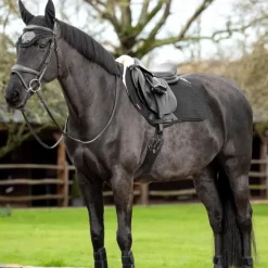 Tapis De Selle Poneys|Tapis Cso/ Mixtes*LeMieux - Tapis de selle EuroJump Merino + / naturel Noir