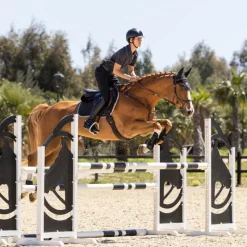 Tapis De Selle Poneys|Tapis Cso/ Mixtes*LeMieux - Tapis de selle Square EuroJump Suede Noir