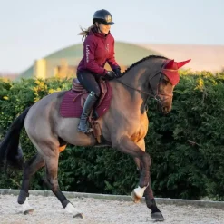 Tapis De Selle Poneys|Tapis Cso/ Mixtes*LeMieux - Tapis de selle Square Soft Shell Anti Glisse EuroJump Bordeaux