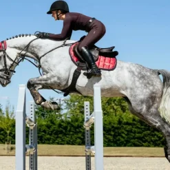 Online - Tapis de selle Square Loire Classic cranberry Tapis De Selle Poneys|Tapis De Selle