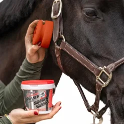 Outlet - Gel anti-insectes avec éponge chevaux sensibles Power Phaser Gels Anti-Mouches