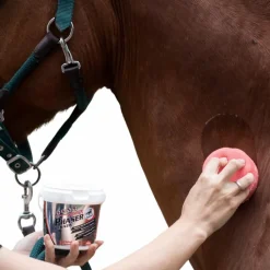 Outlet - Gel anti-insectes avec éponge chevaux sensibles Power Phaser Gels Anti-Mouches