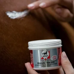 New - Pommade désinfectante et antiseptique à l'argent First Aid Désinfectants