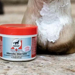 New - Pommade désinfectante et antiseptique à l'argent First Aid Désinfectants