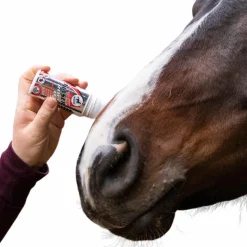 Online - Répulsif insectes Power phaser roll'on Roll-On Anti-Mouches