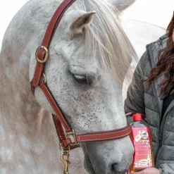 Discount - Shampoing anti-UV à la camomille Shampoings Pour Chevaux