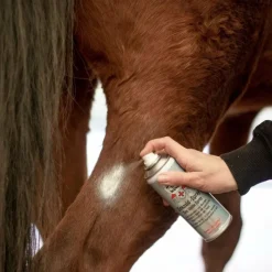 Désinfectants*Leovet - Spray désinfectant et asséchant à l'oxyde de zinc First Aid