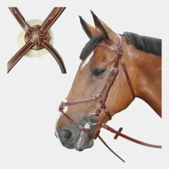 Online - Bridon Denver croisé avec rênes Bridons|Cso