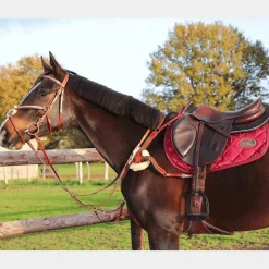 Bridons|Cso*Lexington - Bridon Tucson Croisé avec rênes camel