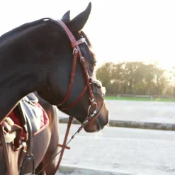 Bridons|Cso*Lexington - Bridon Tucson Croisé avec rênes camel