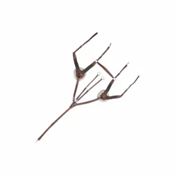 - Collier De Chasse 5 Points Concours Complet D'Equitation|Colliers De Chasse