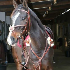 - Collier De Chasse 5 Points Concours Complet D'Equitation|Colliers De Chasse