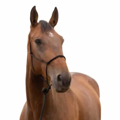 Éthologie|Licols Éthologiques*Norton Licol éthologique doux noir