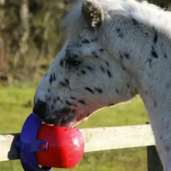 Best - Support de pierre divertissant Tongue Twister Jouets Pour Chevaux