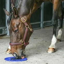 Hot - Tapis de léchage Graze maze bleu Friandises Pour Chevaux