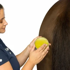 - Baume Bio plantain soulage les démangeaisons Horskin Dermite Estivale