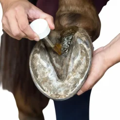 Fourchettes Pourries*Michel Vaillant - Huile Bio soin fourchettes Bactifongic essentiel