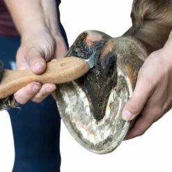 Fourchettes Pourries*Michel Vaillant - Pâtes fibrée Bio argile verte soin fourchettes et lacune Bactifongic