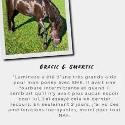 Pousse De La Corne*NAF - Complément alimentaire spécial fourbure Laminaze