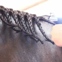 Outlet - Spray nattage Easy Pions Élevage|Grooming