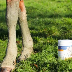 Sale - Argile verte pour tendons natural'recup Argiles