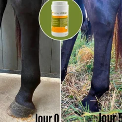 Online - Complément alimentaire Natural' Drain Bien Être|Vieux Chevaux
