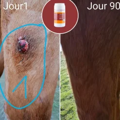 Toutes Les Offres Dlc|Immunitaire*Natural' Innov - Complément alimentaire Natural'Immune