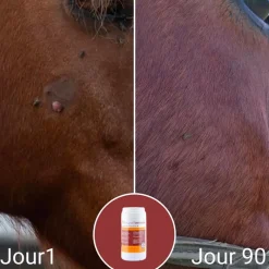 Toutes Les Offres Dlc|Immunitaire*Natural' Innov - Complément alimentaire Natural'Immune