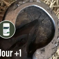 Onguents Noirs*Natural' Innov - Onguent pour sabot noir Natural Coat