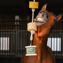 - Pierre à lécher Natural'Rock Digest Friandises Pour Chevaux