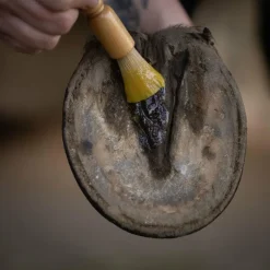 Best - Baume soin des sabots Onguents Sabots Secs|Onguents Incolores