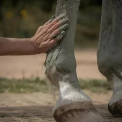 Argiles*Nellumbo - Cataplasme d'argile drainage & détox