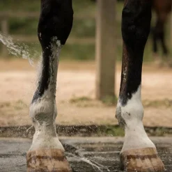Best - Cataplasme d'argile douleurs musculaires & articulaires Argiles
