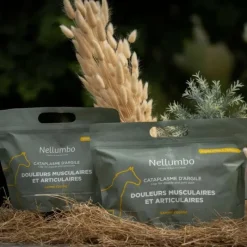 Best - Cataplasme d'argile douleurs musculaires & articulaires Argiles