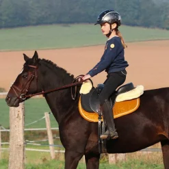 Best - Bardette club Luxe Selles Poneys|Bardettes