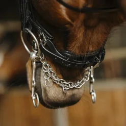 Brides*Norton - Bride Basal Noir