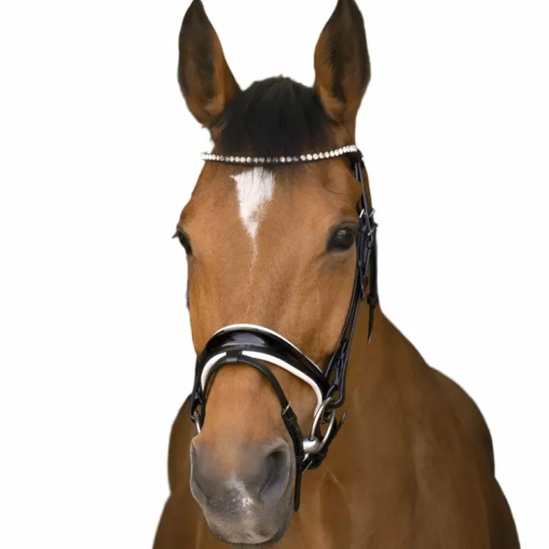 Cso|Bridons*Norton - Bridon Bella Noir