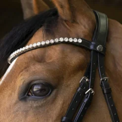 Cso|Bridons*Norton - Bridon Bella Noir