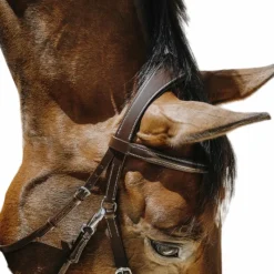 Bridons*Norton - Bridon Bitless avec rênes Havane