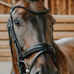 Outlet - Bridon de dressage Royal Bridons