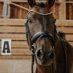 Bridons*Norton - Bridon de dressage Diams Noir